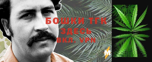 ешки Зеленодольск