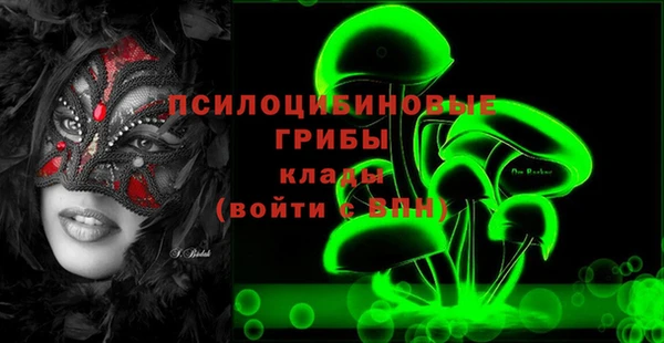 ешки Зеленодольск