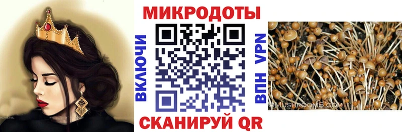 Купить закладки  Порхов  Галлюциногенные грибы прущие грибы 